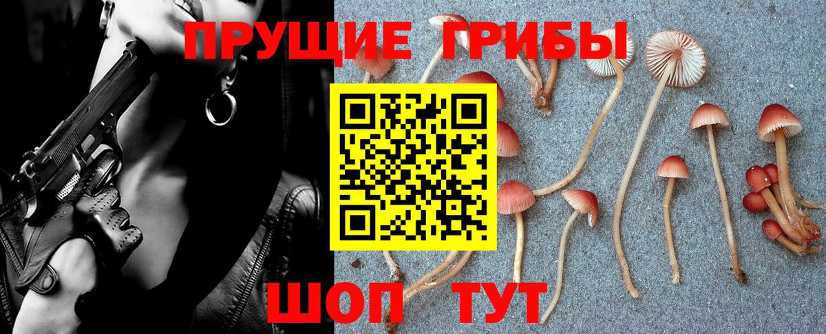 Галлюциногенные грибы Cubensis Кашира