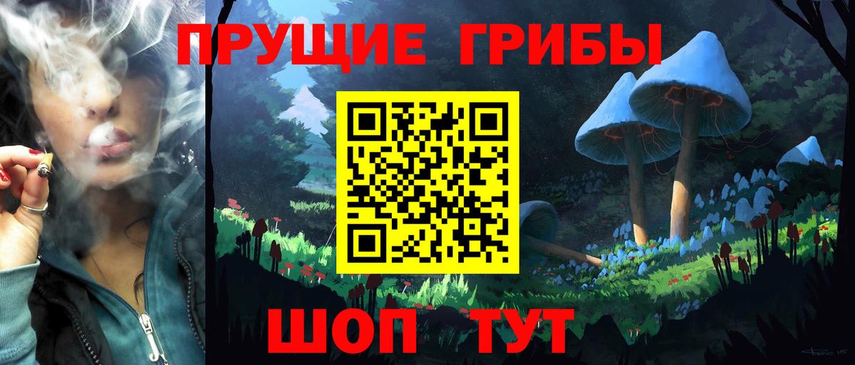 Кашира  Псилоцибиновые грибы Magic Shrooms  Вход с VPN 